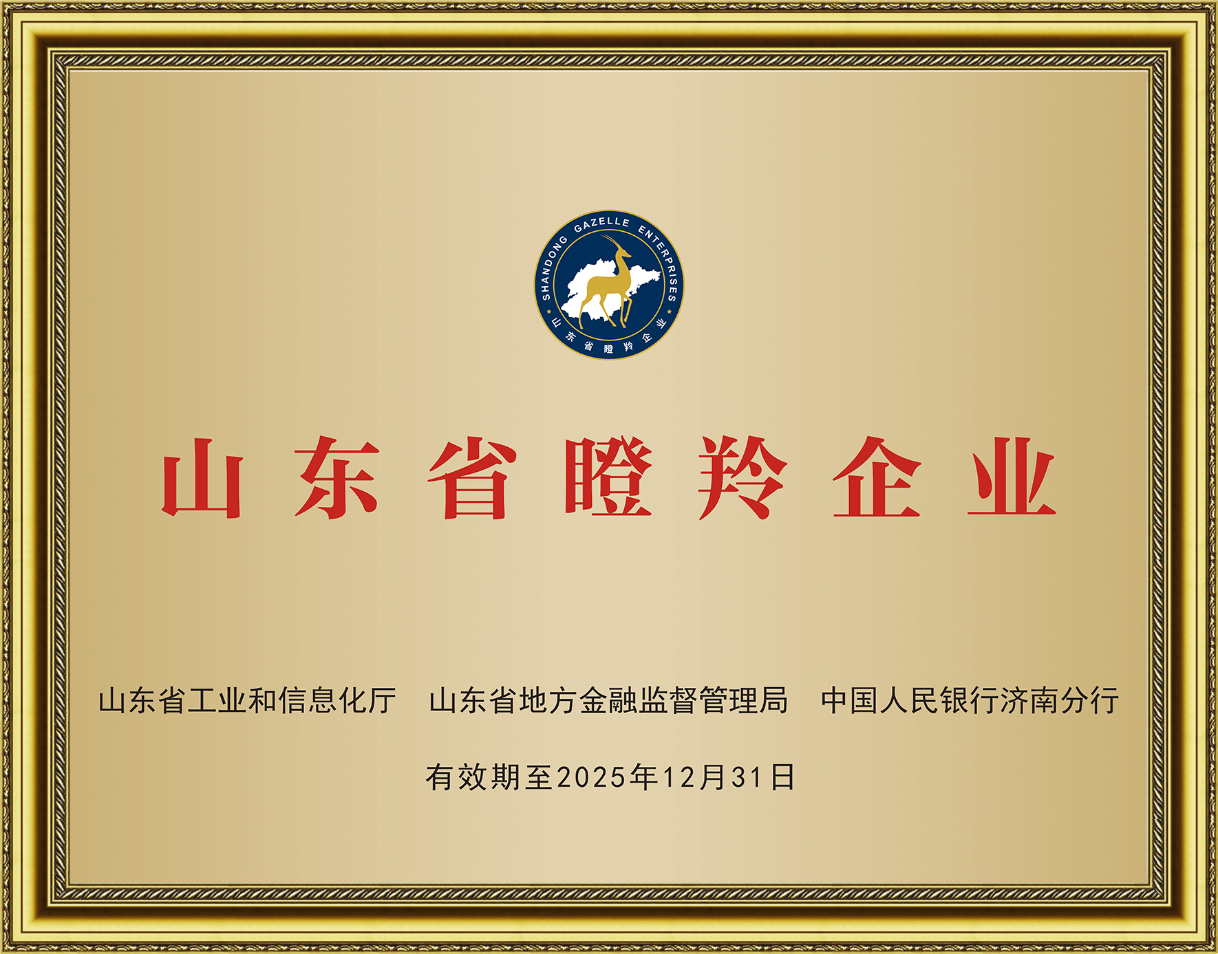 瞪羚企业.jpg